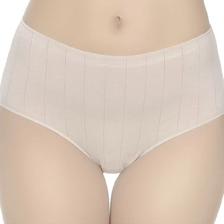 Women's Briefs Naiara 201 Box of 6 Maxi