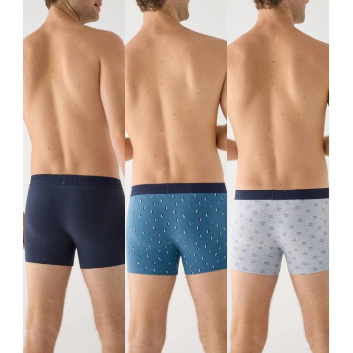 3-pk Boxer YSABEL MORA 20462