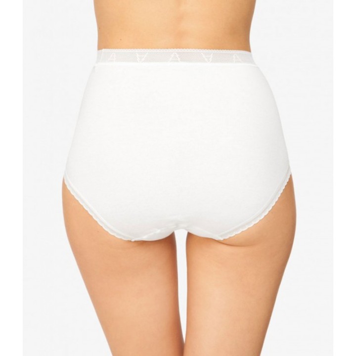 Bragas Avet 3168 - Algodón Peinado con Lycra