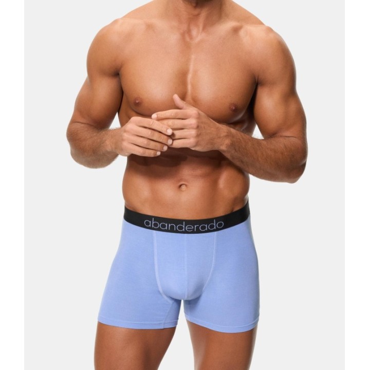 Pack 2 Boxer Abanderado Bambú C7M 1SV Azul oscuro / Lavanda