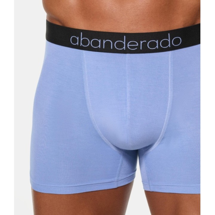 Pack 2 Boxer Abanderado Bambú C7M 1SV Azul oscuro / Lavanda
