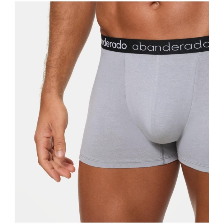 Pack 2 Bóxer Abanderado 596 1T0 Gris / Negro