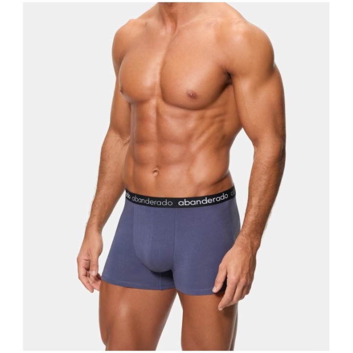 Pack 2 Boxer Abanderado 596 1SU Azul / Gris