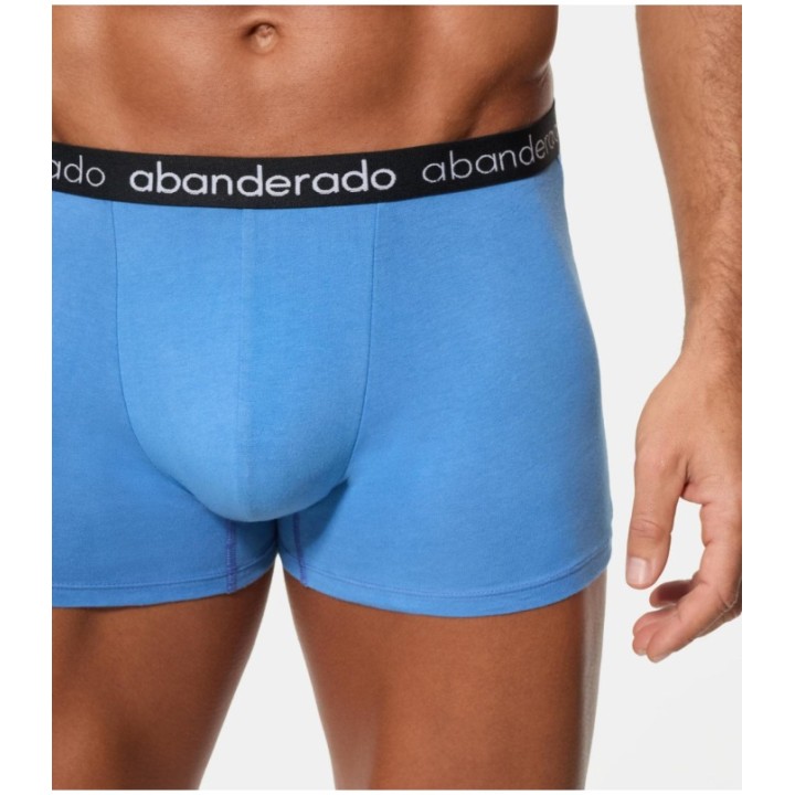 Pack 2 Boxer Abanderado 596 1SU Azul / Gris