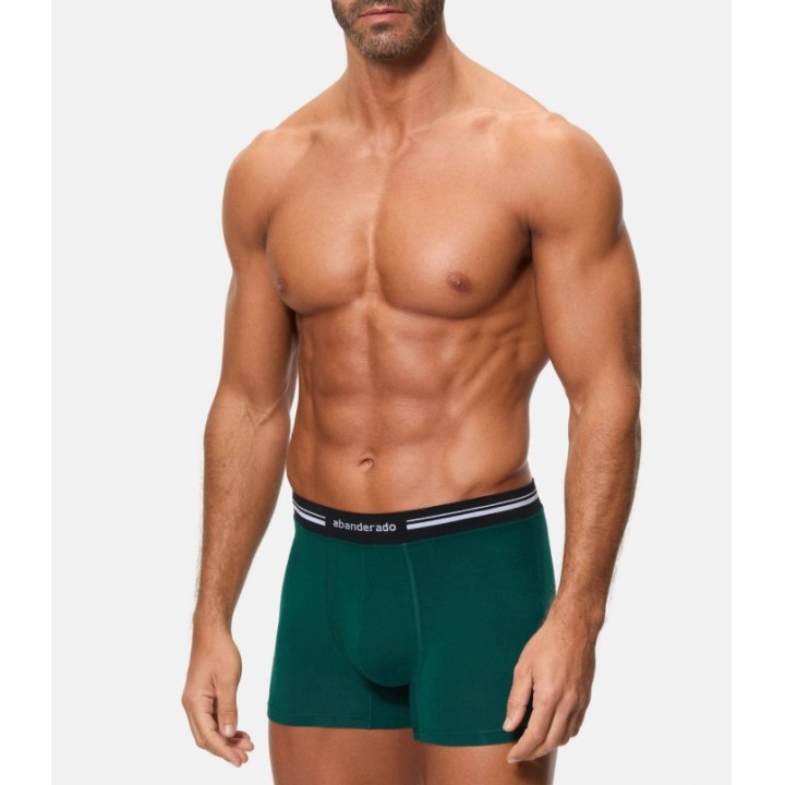 Boxer Abanderado 77I Verde Botánico 1SD