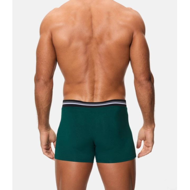 Boxer Abanderado 77I Verde Botánico 1SD