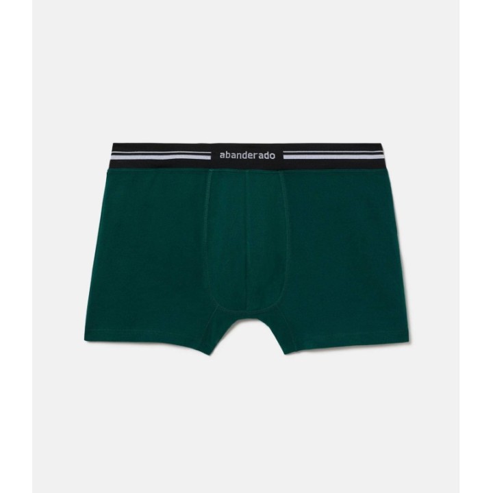 Boxer Abanderado 77I Verde Botánico 1SD