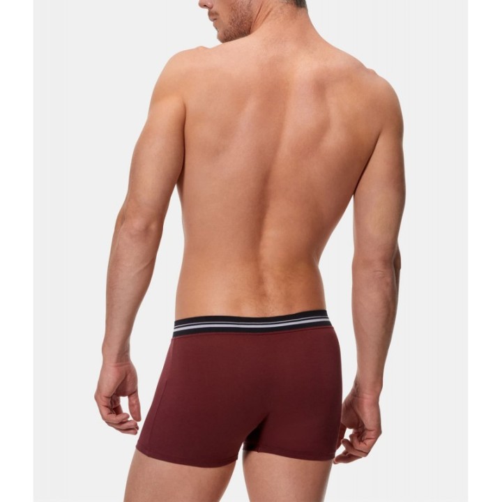 Boxer Abanderado 77I VINO 1QK - Algodón Elástico con Cintura Extrasuave