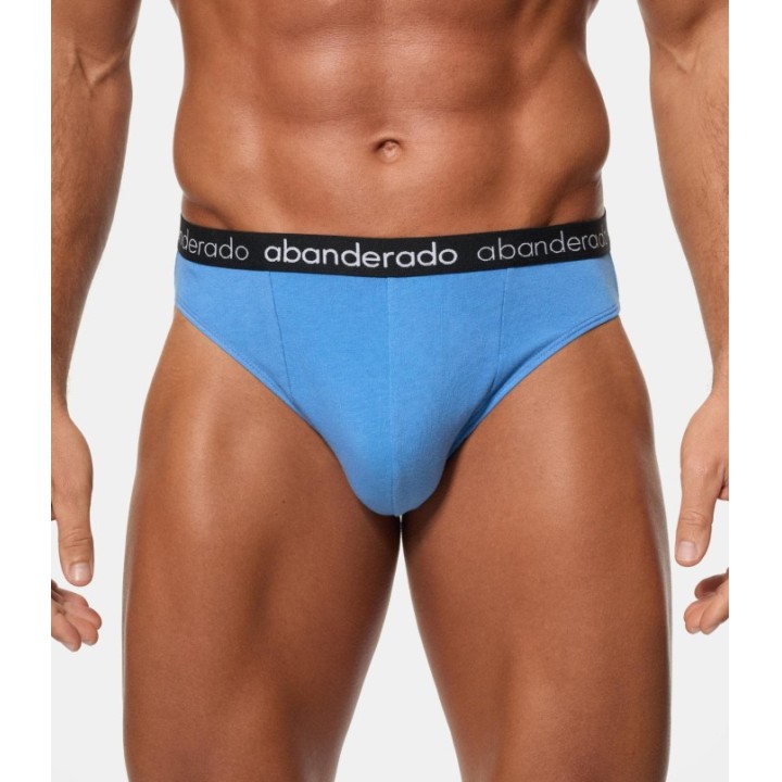 Pack 2 Slip Abanderado 595 1SU Azul / Gris