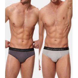 Pack 2 Slips Sensitive Abanderado - Gris