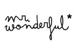 MR WONDERFUL